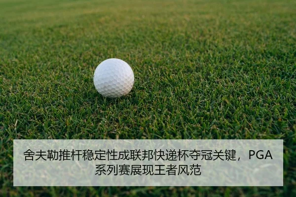 she-fu-lei-tui-gan-wen-ding-xing-cheng-lian-bang-kuai-di-bei-duo-guan-guan-jian-xi-lie-sai-zhan-xian-wang-zhe-feng-fan-2-954.jpg