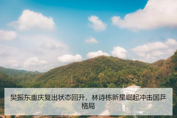 樊振东重庆复出状态回升，林诗栋新星崛起冲击国乒格局