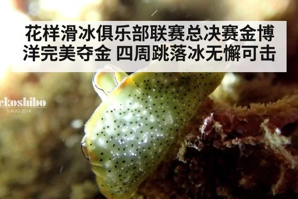 花样滑冰俱乐部联赛总决赛金博洋完美夺金 四周跳落冰无懈可击